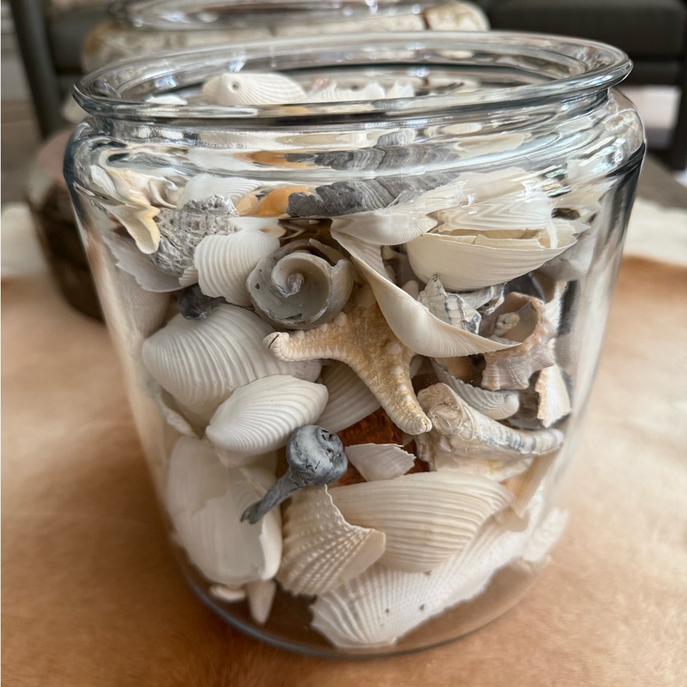 Heavy Decorative Seashell Collection Glass Jar Home Decor